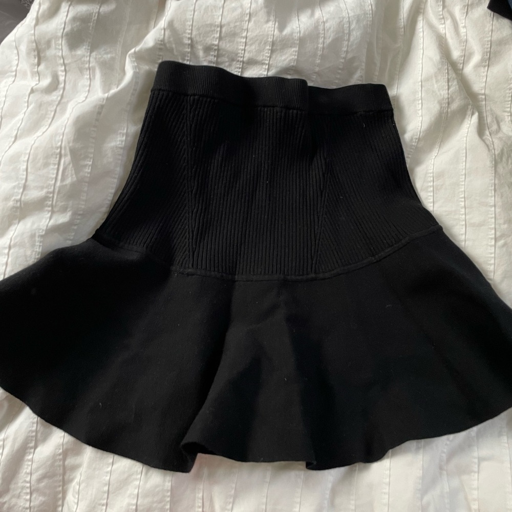 Club Monaco knit skater skirt